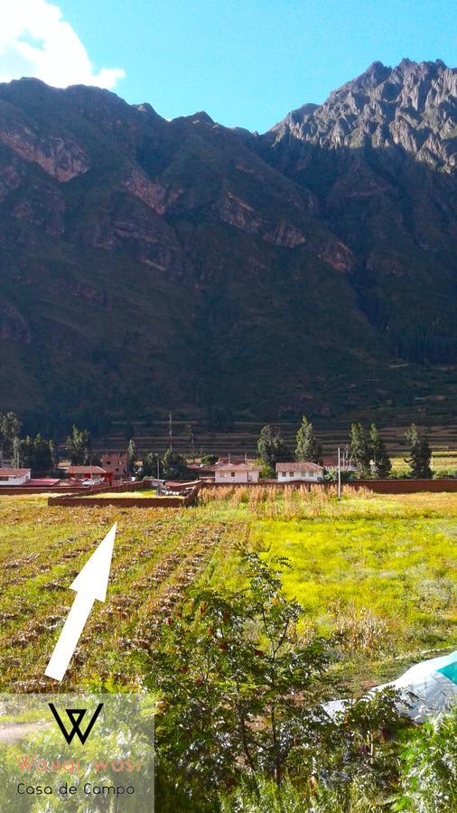 Wayqi Wasi Guest House Pisac Eksteriør bilde