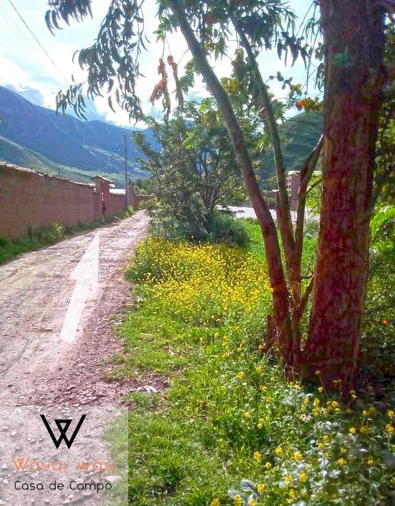 Wayqi Wasi Guest House Pisac Eksteriør bilde