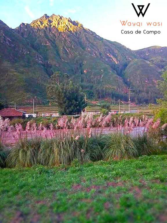 Wayqi Wasi Guest House Pisac Eksteriør bilde