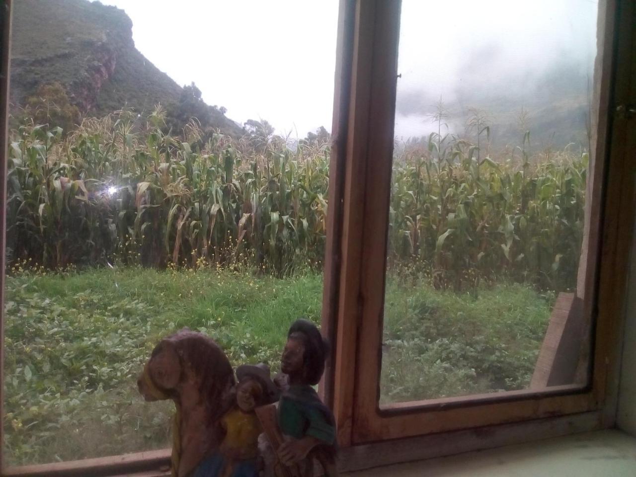 Wayqi Wasi Guest House Pisac Eksteriør bilde